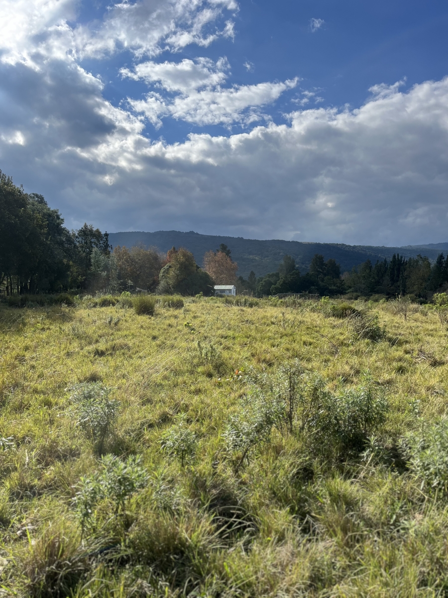 14 Bedroom Property for Sale in Stutterheim Eastern Cape
